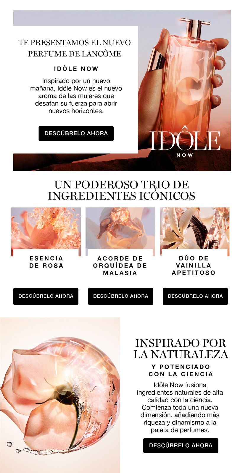 Lancôme Idôle Now newsletter
