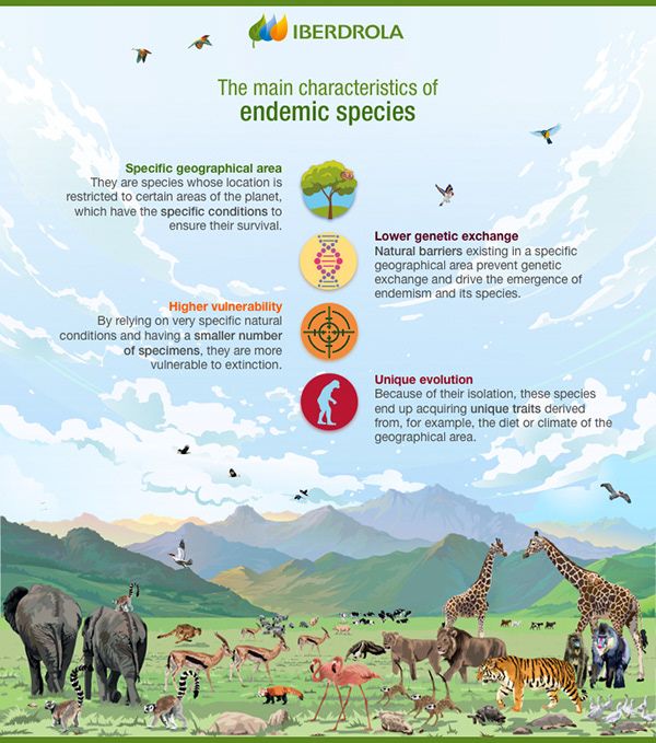 Endemic Species