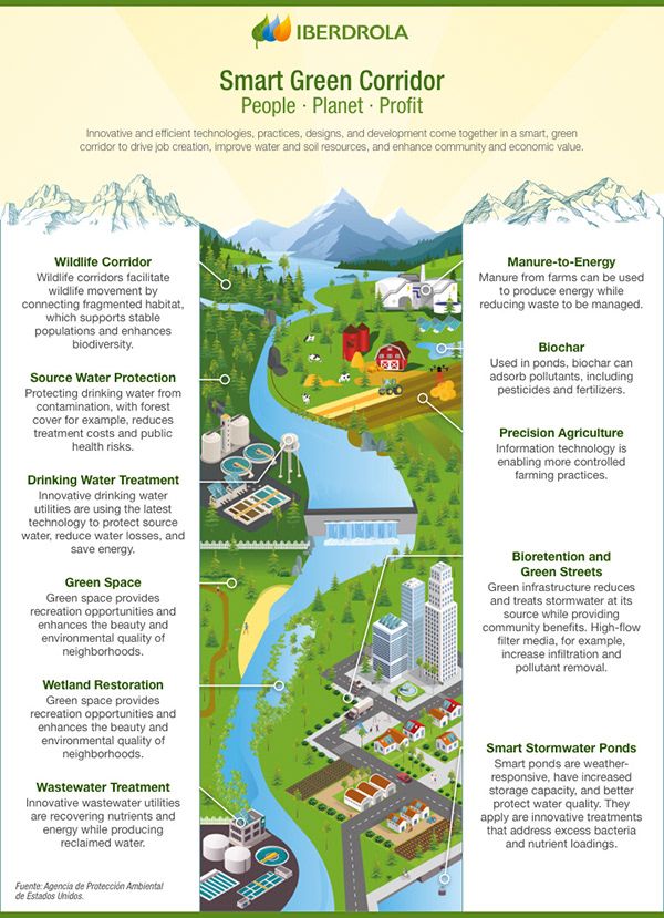Smart Green Corridor
